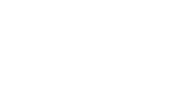 Vizio